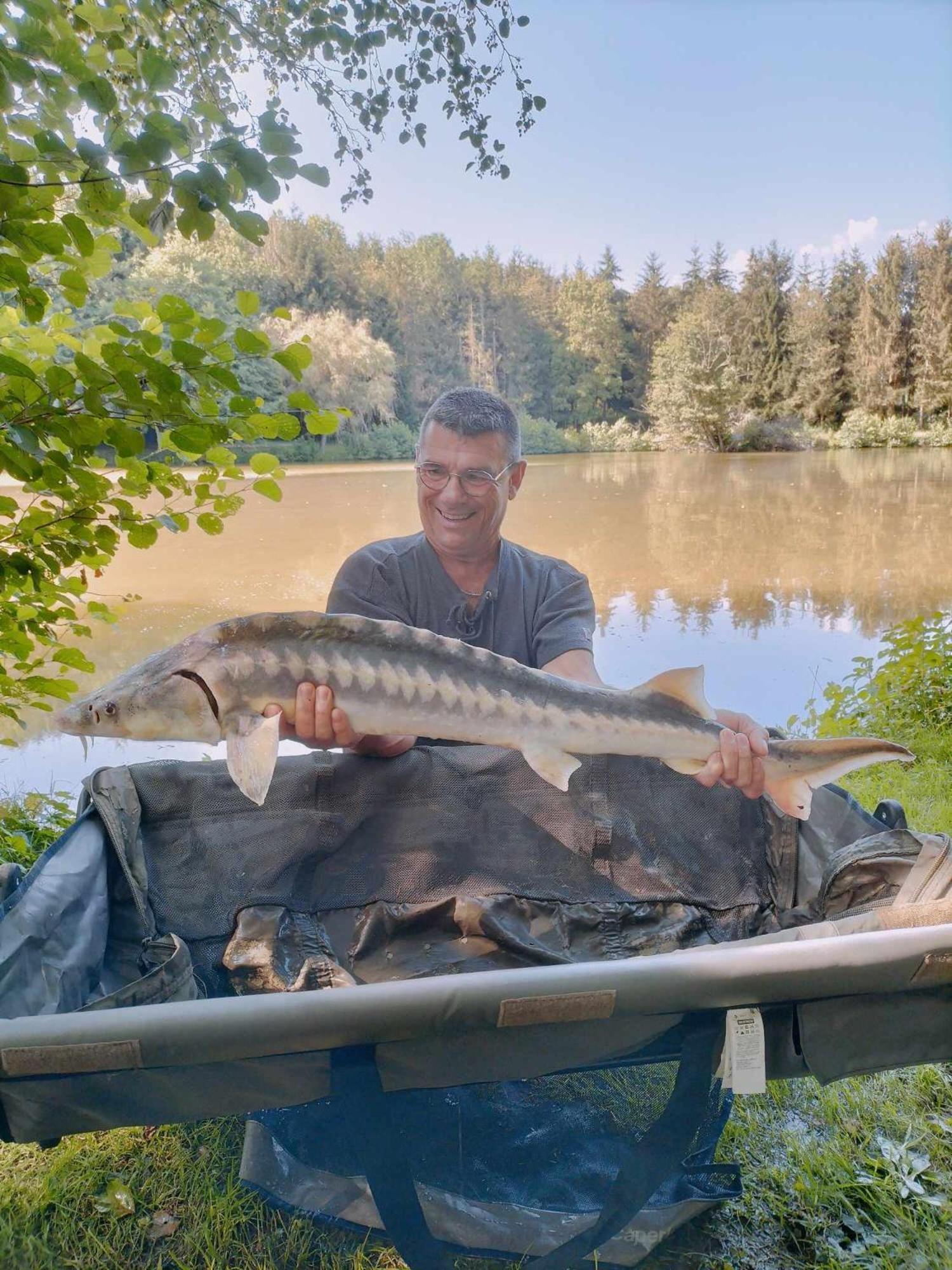 Les Etangs Du Moulin D'Harcy Hotell Lonny Exteriör bild